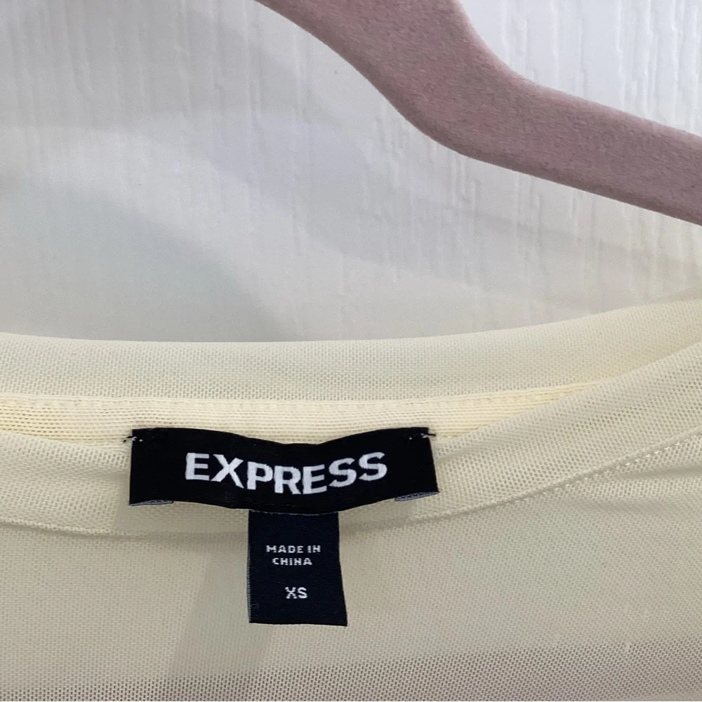 Express Ivory Mesh Top bodysuit - Picture 6 of 9